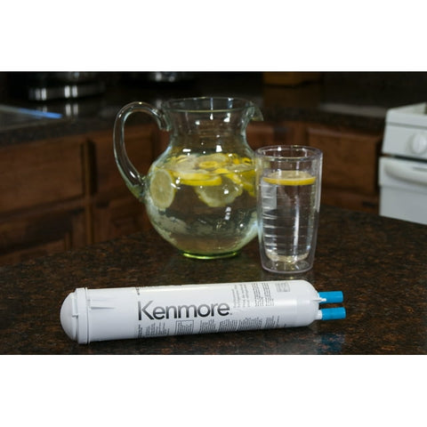 Kenmore  Refrigerator Water Filter 9083